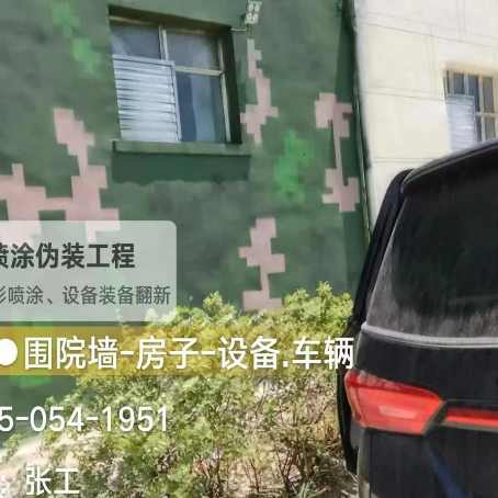 抚顺数码迷彩漆施工